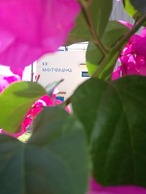 Mediterranea Guesthouse B&B