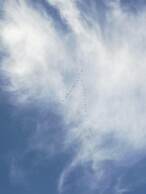 Mediterranea Guesthouse B&B