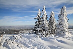 Panoramahotel Grobauer