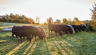 Panoramahotel Grobauer