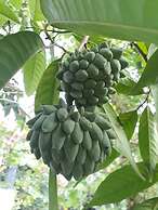 Pousada Casa da Praia Juquehy