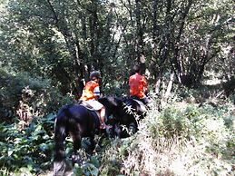 Camping Pont d'Ardaix