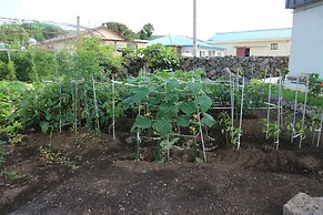 Blue Island Guesthouse - Hostel