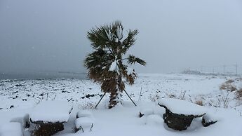 Blue Island Guesthouse - Hostel