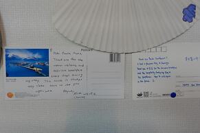 Panda Guesthouse - Hostel