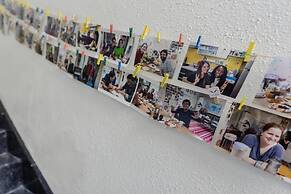 Panda Guesthouse - Hostel