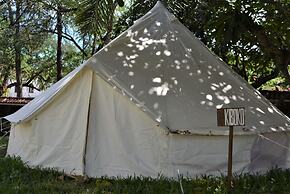 Tulia House - Hostel