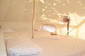 Tulia House - Hostel