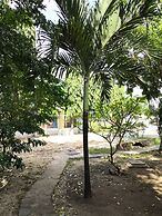 Tulia House - Hostel