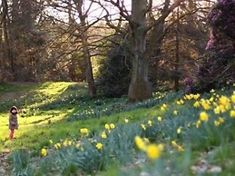 Primrose Guest House