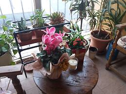 La Maison del Corso B&B