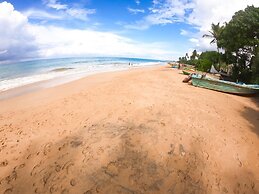 Leather Back Beach Villa