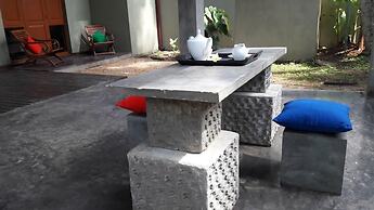 Leather Back Beach Villa