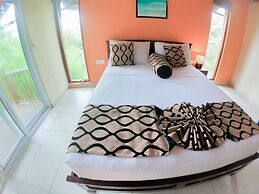 Leather Back Beach Villa