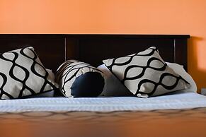 Leather Back Beach Villa