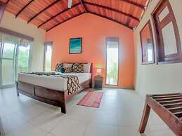 Leather Back Beach Villa