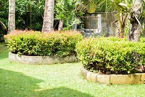 Leather Back Beach Villa