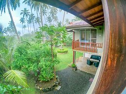 Leather Back Beach Villa