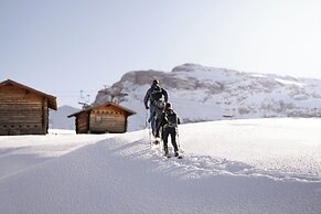COMO Alpina Dolomites