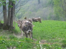 Agriturismo Alagna