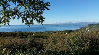 Residence Ai Vigneti With Pool