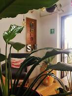 Santa Josefita Bed & Breakfast