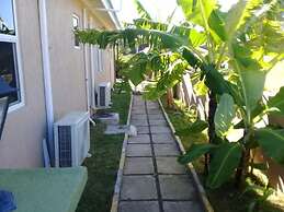 Palm BlossomJA Manor