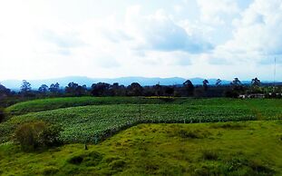 Apartahotel Jeronimos