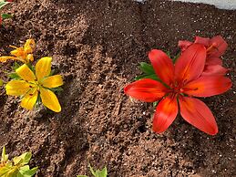 Atlantic Shores Motel