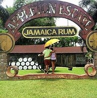 Retreat Comfortable Apartments