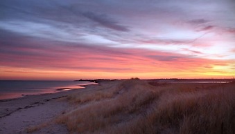 Windy Acre