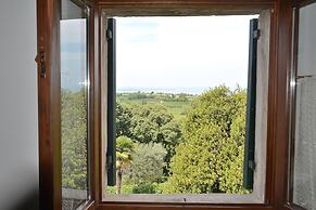 The Groom Home With Pool