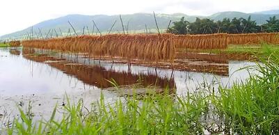 The Inle Sanctuary Phayartaung