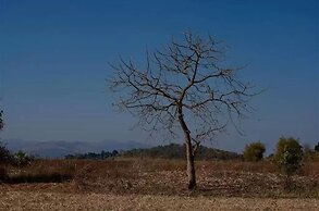 The Inle Sanctuary Phayartaung