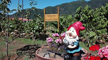 Grannys Farm