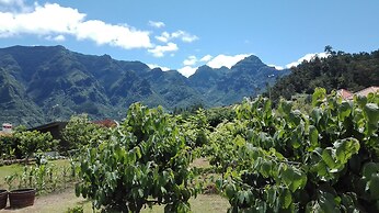 Grannys Farm