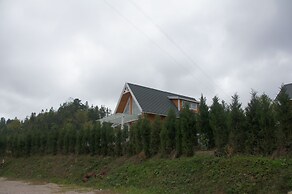 Southeastern Flying Tiger Manor