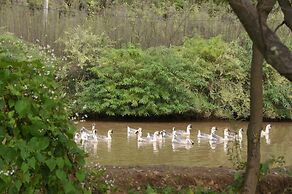 Southeastern Flying Tiger Manor
