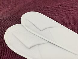 Okachimachi Urban Hotel