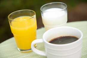 Narita AIC Airport Hotel