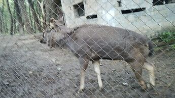 Highland Village Resort