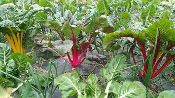 Casa Rural Aristondo