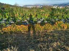 Casa Rural Aristondo