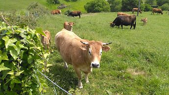 Casa Rural Aristondo