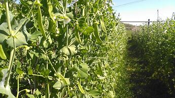 Casa Rural Aristondo