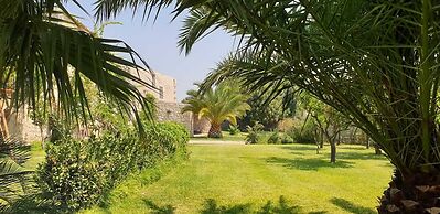 Villa Barone Alfieri