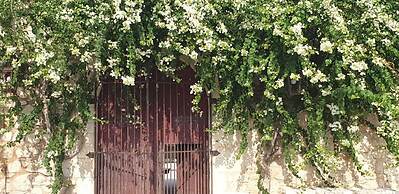 Villa Barone Alfieri