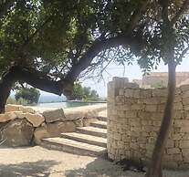 Villa Barone Alfieri