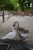 B&B Ca' Gialla