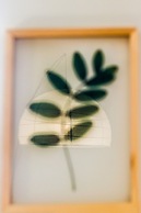 Santos Green Apartment